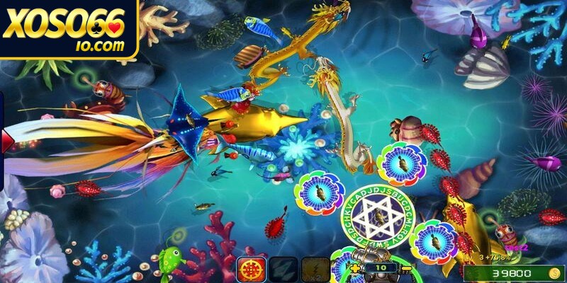 Ưu tiên tiêu diệt những con cá nhỏ hoặc cá bơi đơn lẻ trước