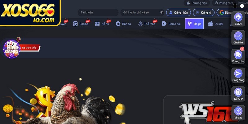 Đá gà XOSO66 một trong số những sảnh game ăn khách hiện nay