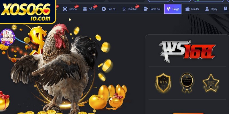 Các hình thức đá gà XOSO66 được ưa chuộng nhất 